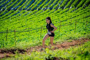 BIB: 
                            <button type="button" onclick="openModal(19161933)" class="btn btn-primary btn-sm float-right btn-popup" data-toggle="modal" data-target=".modal-high-quality">
                        <i class="fas fa-shopping-cart"></i> Add to Cart
                    </button>
                                            <button type="button" onclick="isThisMe(19161933, true)" class="btn btn-success btn-sm float-right btn-popup btn-isme hidden" data-toggle="tooltip" data-placement="bottom" title="นี่คือรูปของคุณใช่ไหม คลิกที่นี่เพื่อเอาเข้าอัลบั้ม">
                        <i class="fas fa-plus"></i> Add to album
                    </button>
                    <button type="button" onclick="isThisMe(19161933, false)" class="btn btn-warning btn-sm float-right btn-popup btn-isnotme hidden">
                        <i class="fas fa-ban"></i> Remove from album
                    </button>